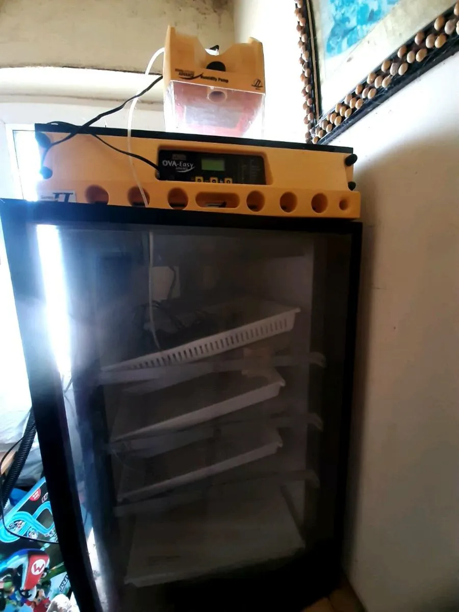Brinsea 380 ova Automatic Incubator - Image 2