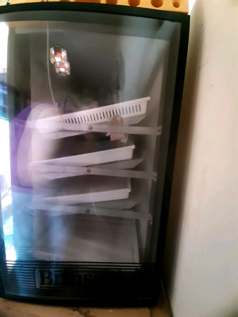 Brinsea 380 ova Automatic Incubator - Image 3
