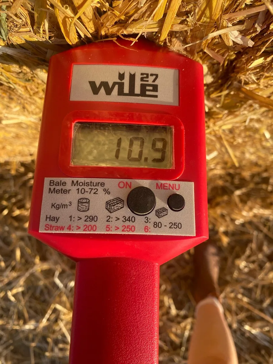 Straw  8x4x4 bales - Image 2