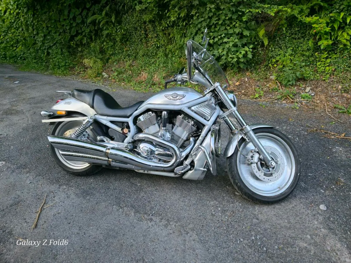 2003 Harley Davidson V-Rod (VRSCA) anniversary - Image 1