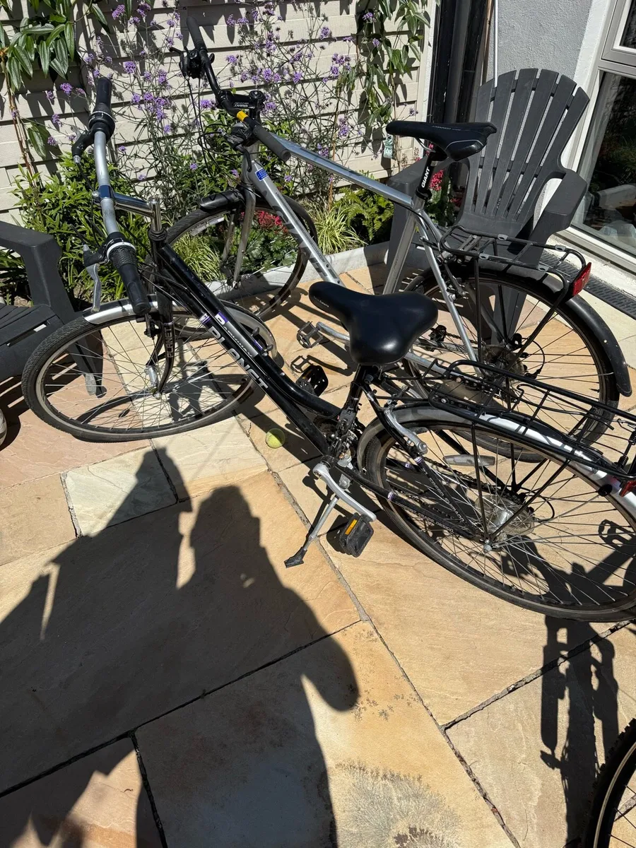 Cycle Bikes - Image 1