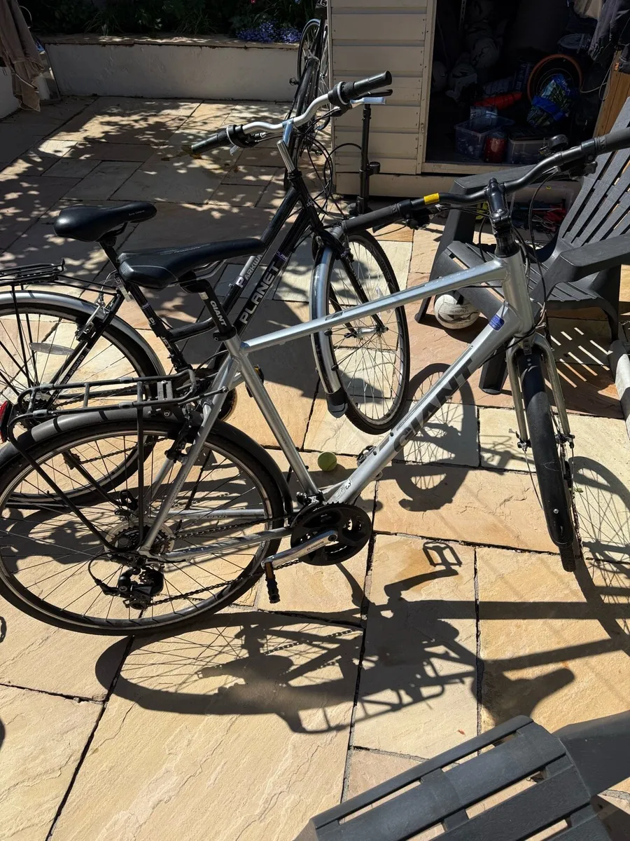 Cycle Bikes - Image 3