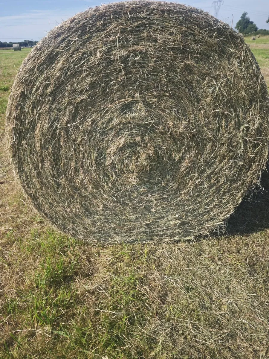 Hay Bales