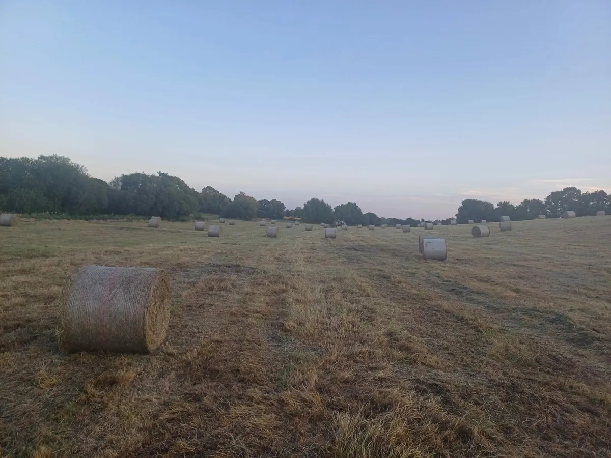 Hay Bales Round - Image 2