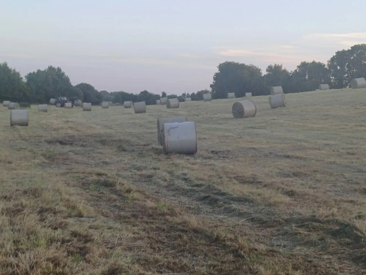 Hay Bales Round - Image 3