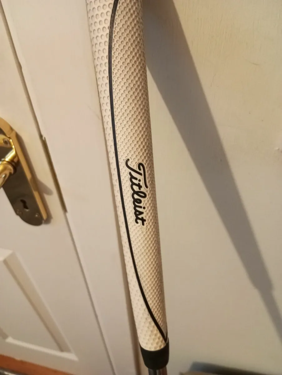 2 ball  Putter - Image 3