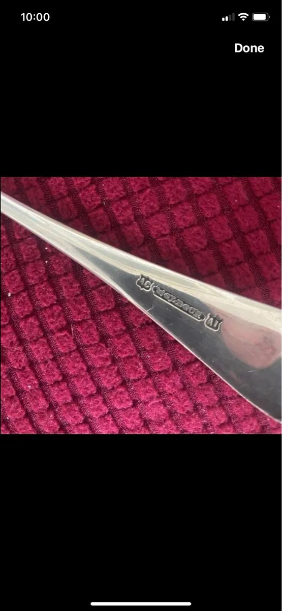 AI Silver Fish Serving Set - Image 3