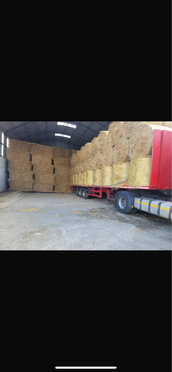 Hay & Straw in round and big square bales
