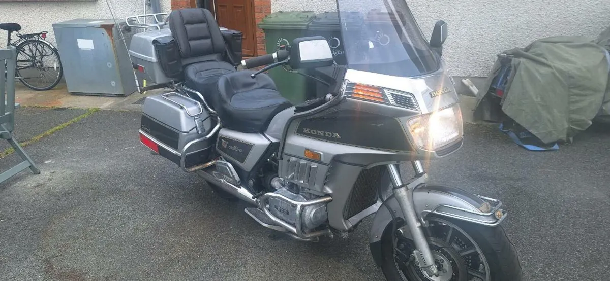 Goldwings x2 - Image 1