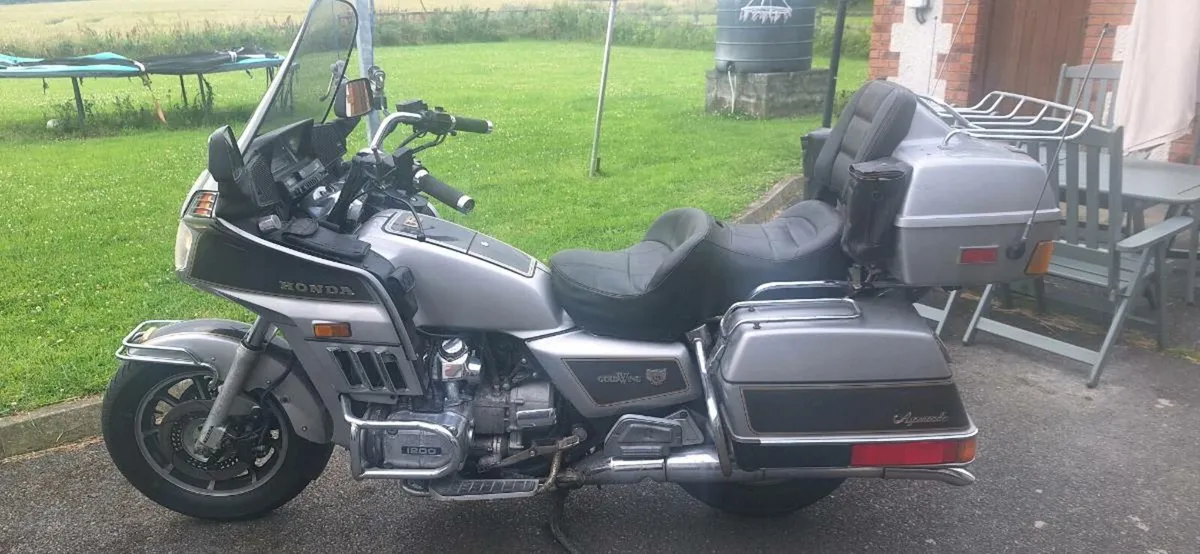 Goldwings x2 - Image 3