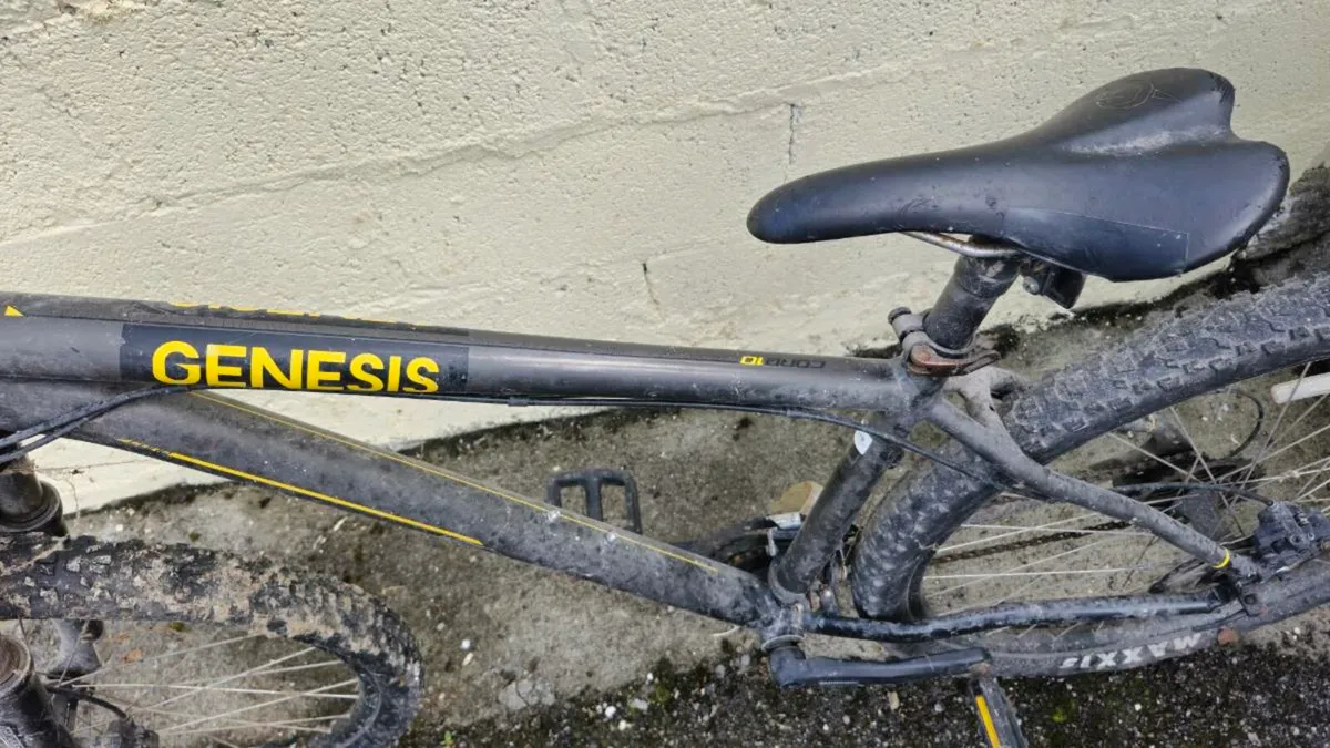 Mountain bike - Image 1