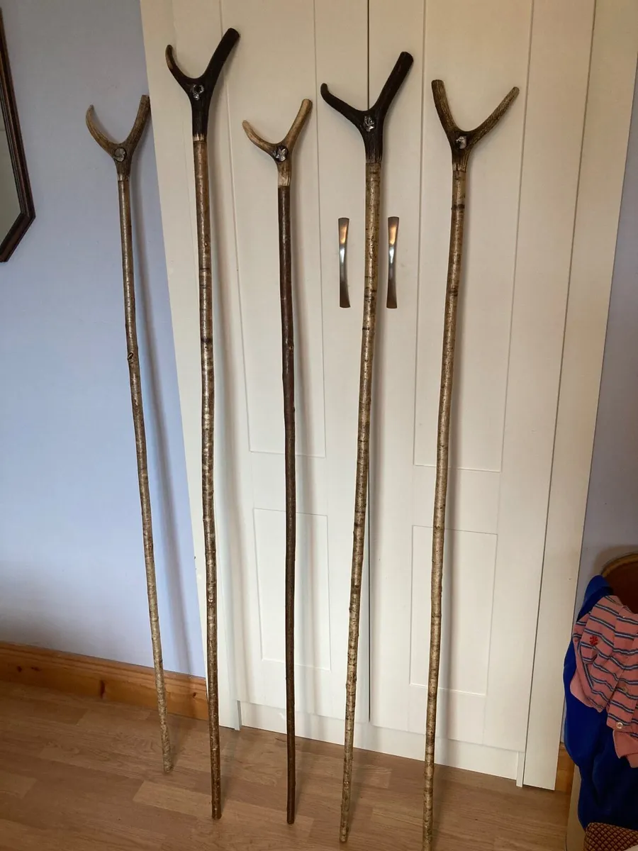 Walking/hiking sticks - Image 1