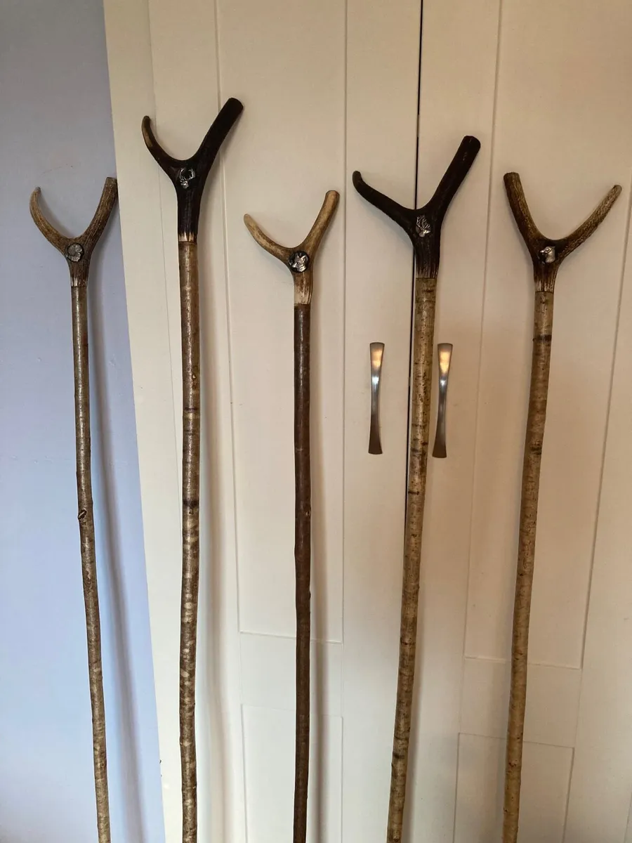 Walking/hiking sticks - Image 2