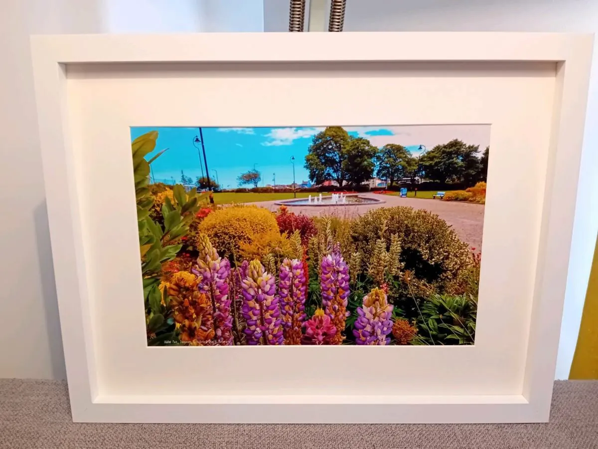 Dungarvan - Image 2