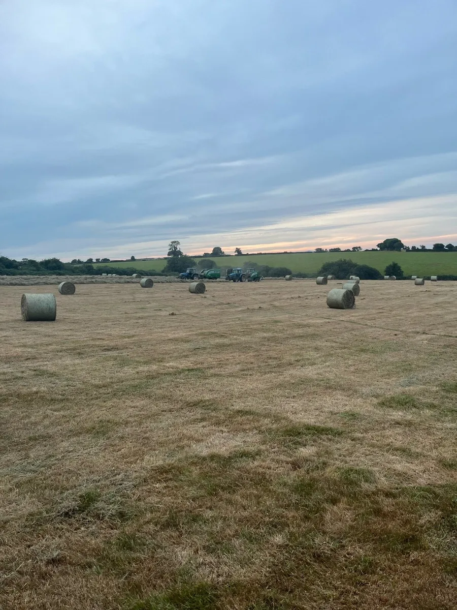 Hay forsale