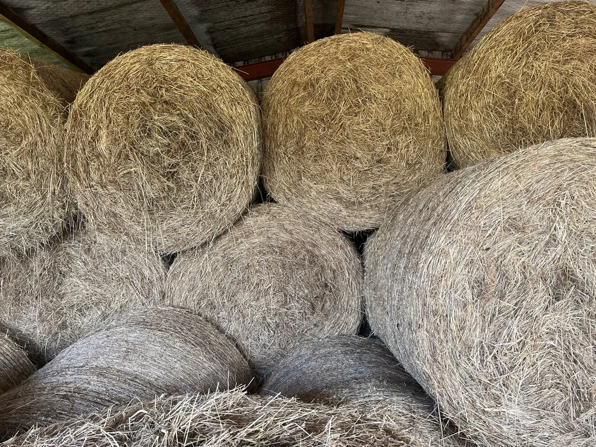 4 x 4 Round bales of Hay