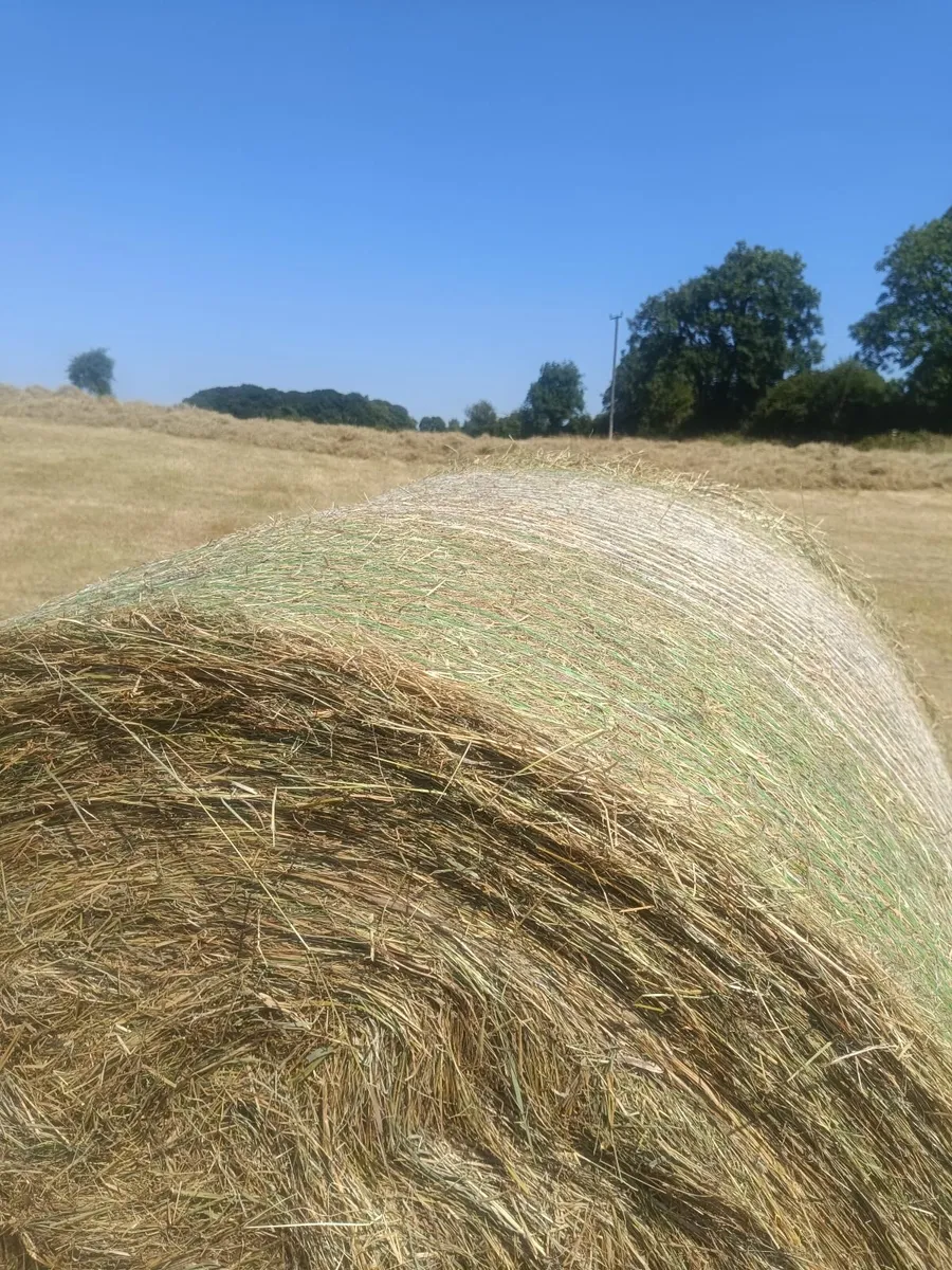 Bedding and feed - Image 1
