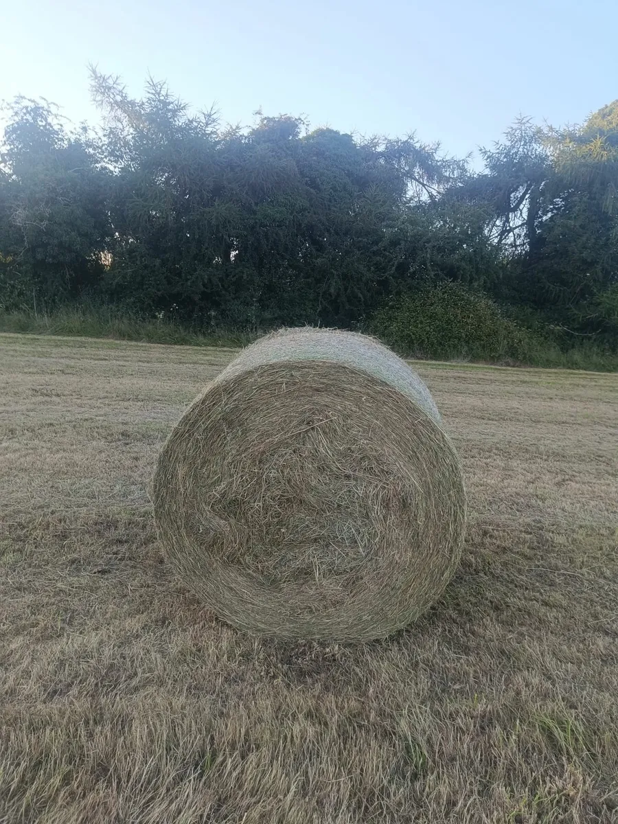 Bedding and feed - Image 3
