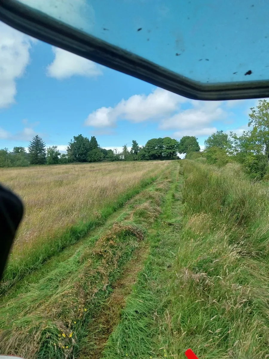 Organic Hay - Image 1