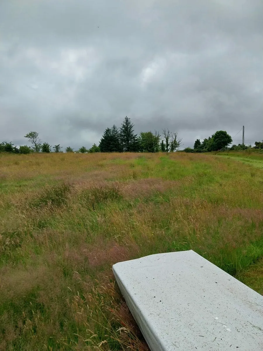 Organic Hay - Image 2