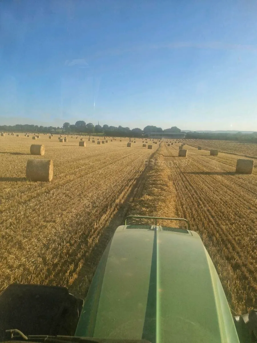 4x4 bales of barley straw - Image 1