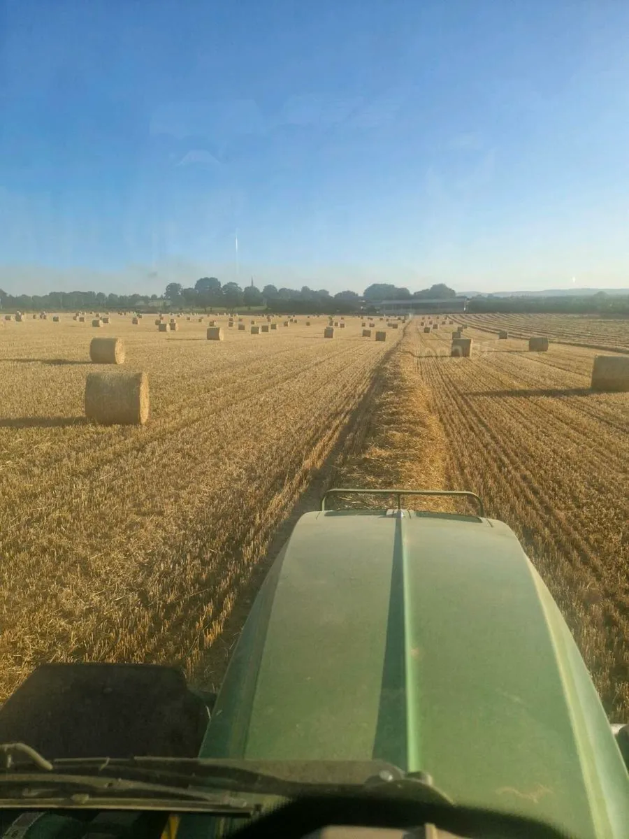 4x4 bales of barley straw - Image 2