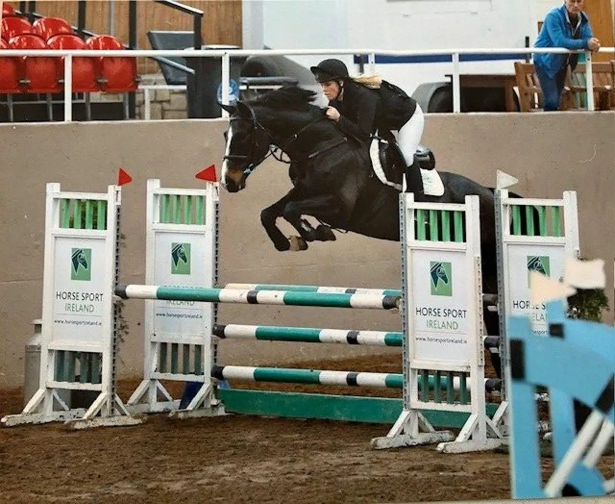 Super 16.2 Mare with a track record of Success - Image 3