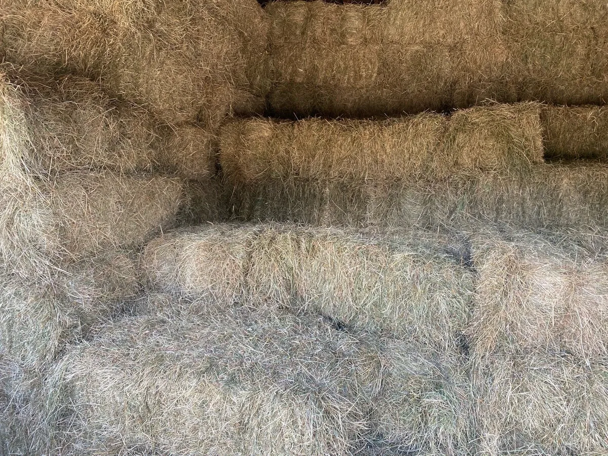 Small Square Bales(Hay) - Image 1