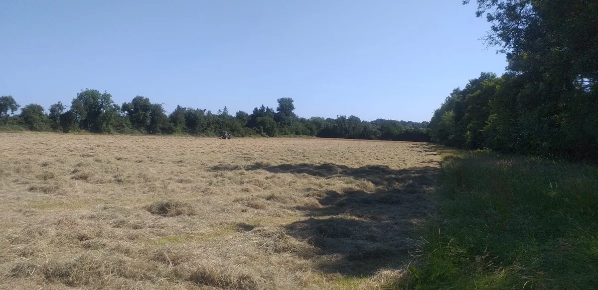 Small Square Bales(Hay) - Image 2