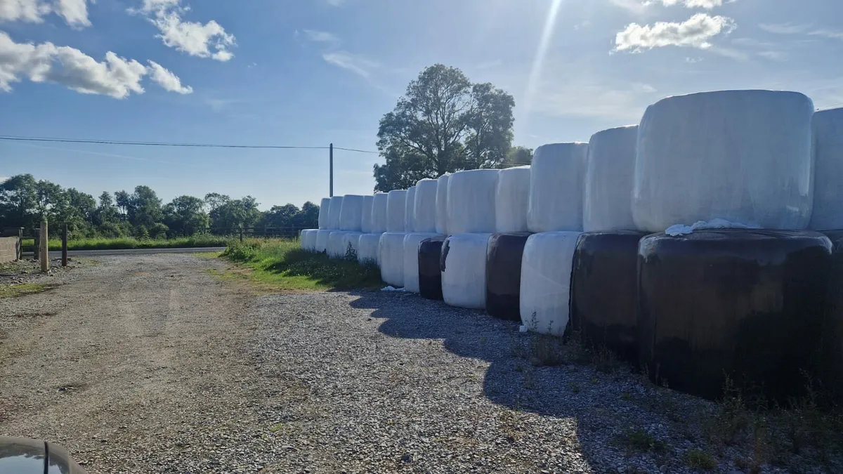 Silage bales