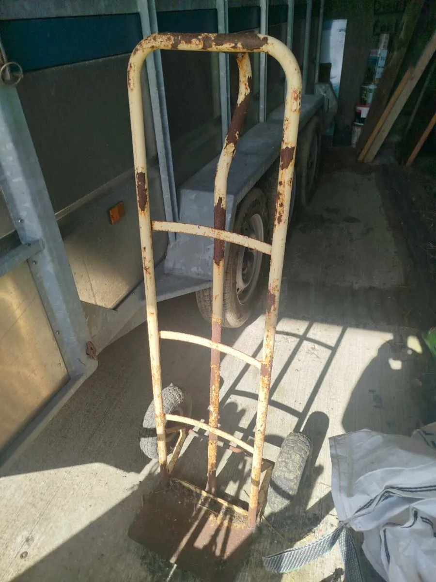 Calf dehorning crate - Image 4