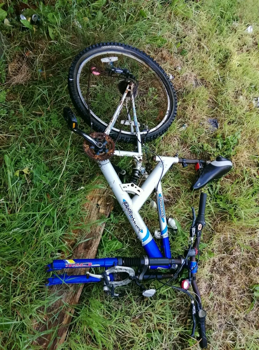 4 Bicycles - Image 3