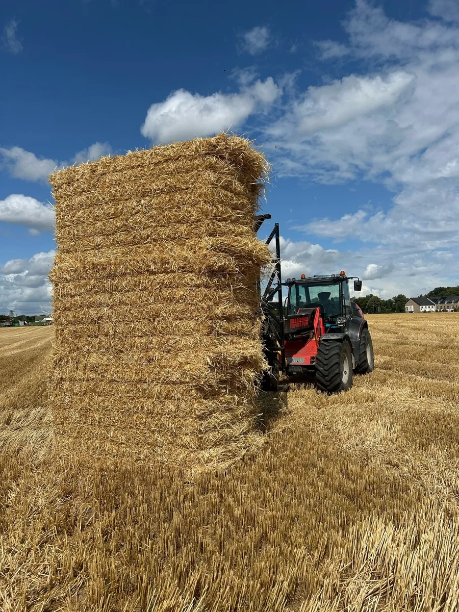8x4x4 Square Bales Barley Straw - Image 1