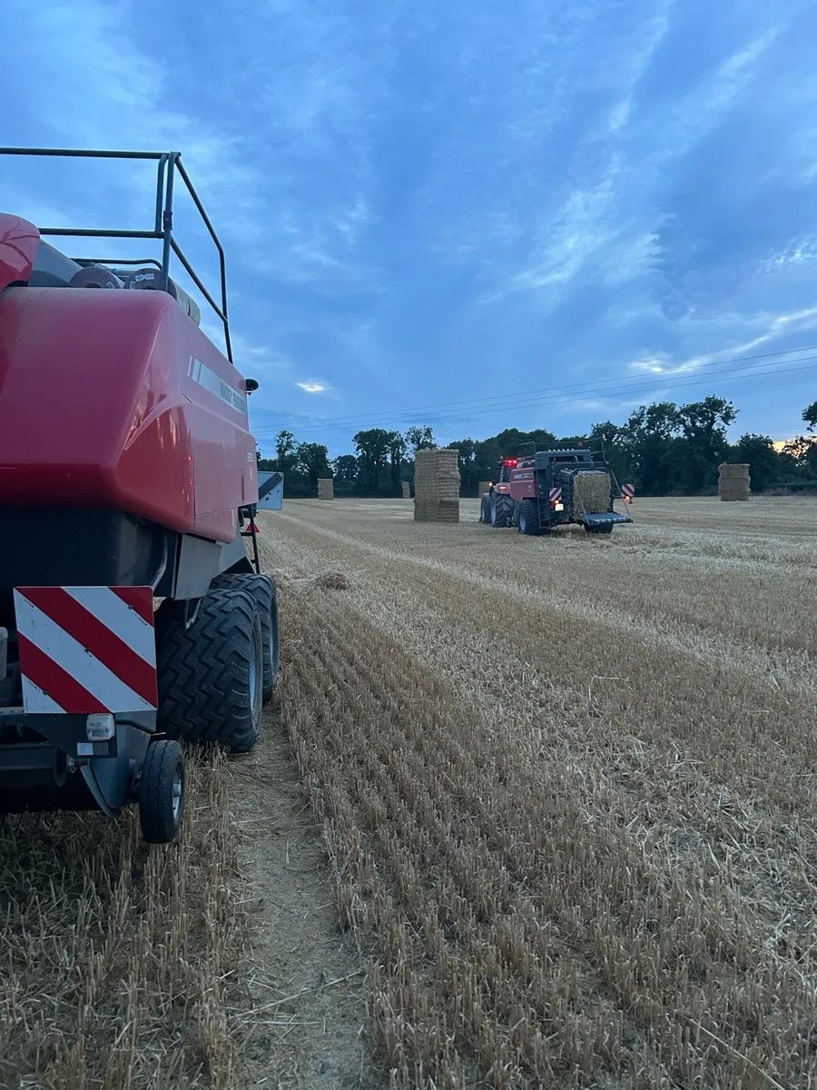 8x4x4 Square Bales Barley Straw - Image 2
