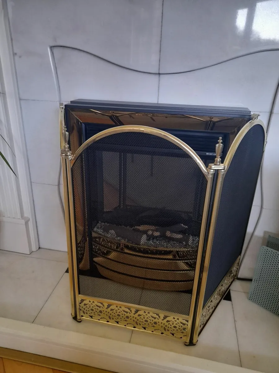 Firescreen - Image 1