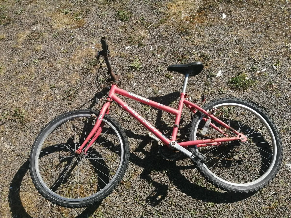 4 Bicycles - Image 4