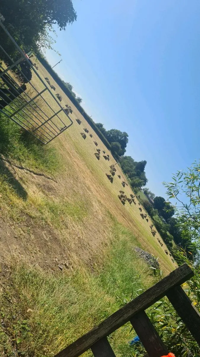 Hay Squares