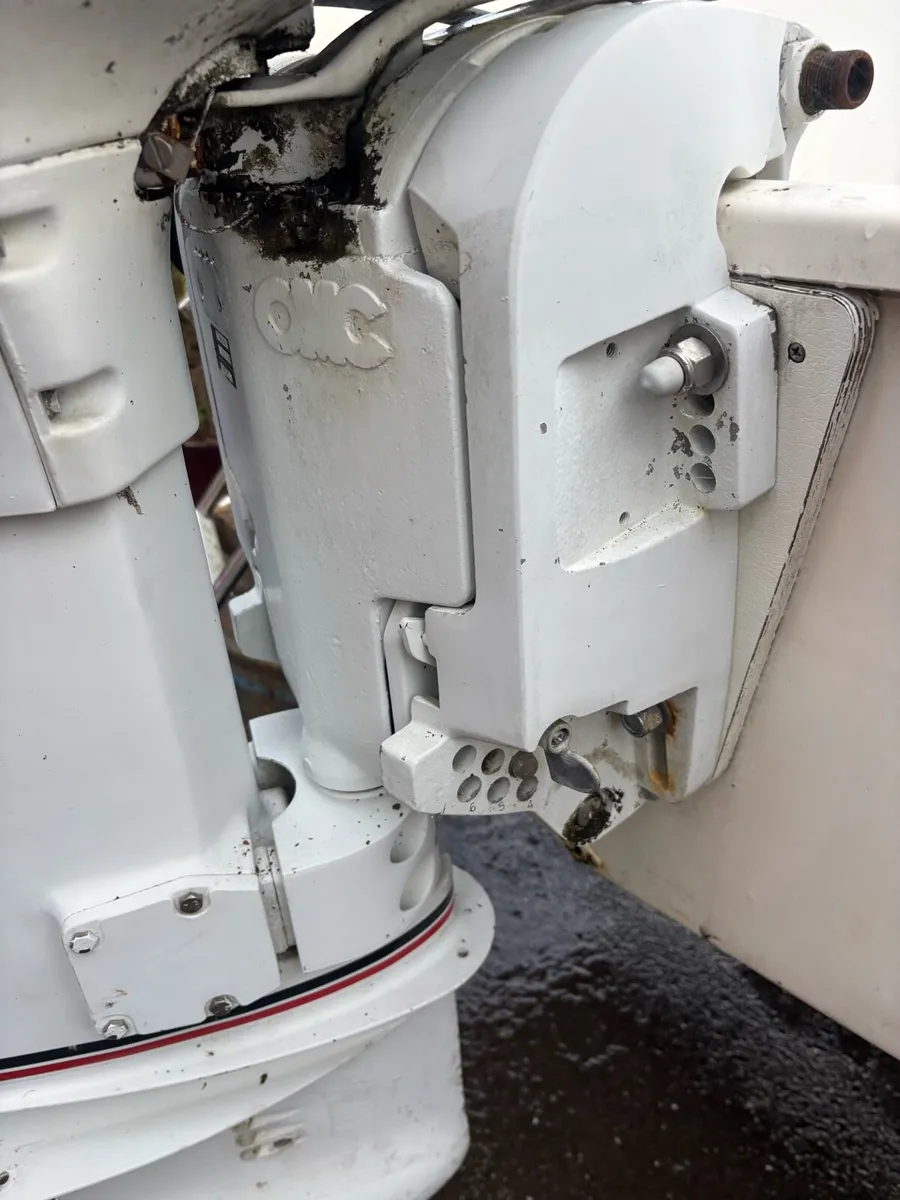 Johnson 60hp outboard - Image 2