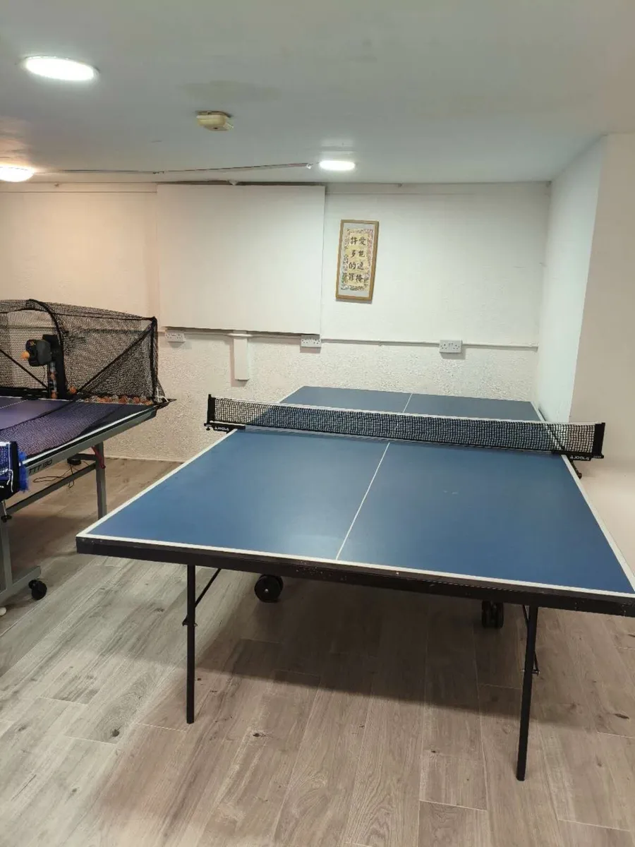 Table tennis