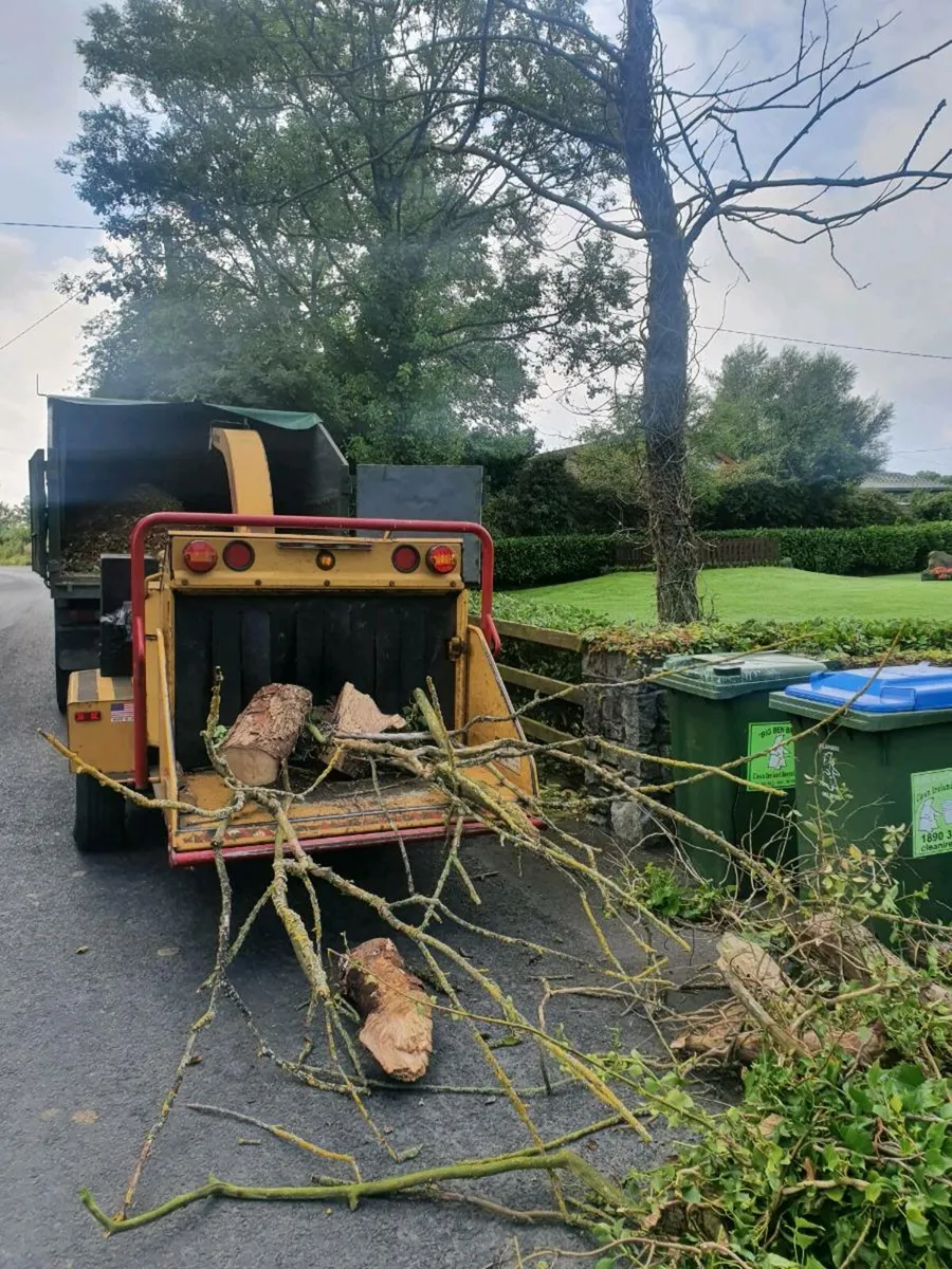 Gardening services - Image 3