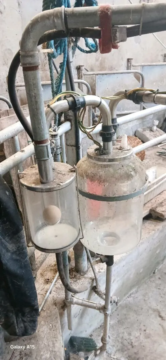5 unit milking parlour . - Image 3
