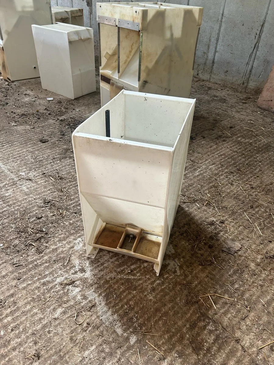 Pig feeders - Image 2