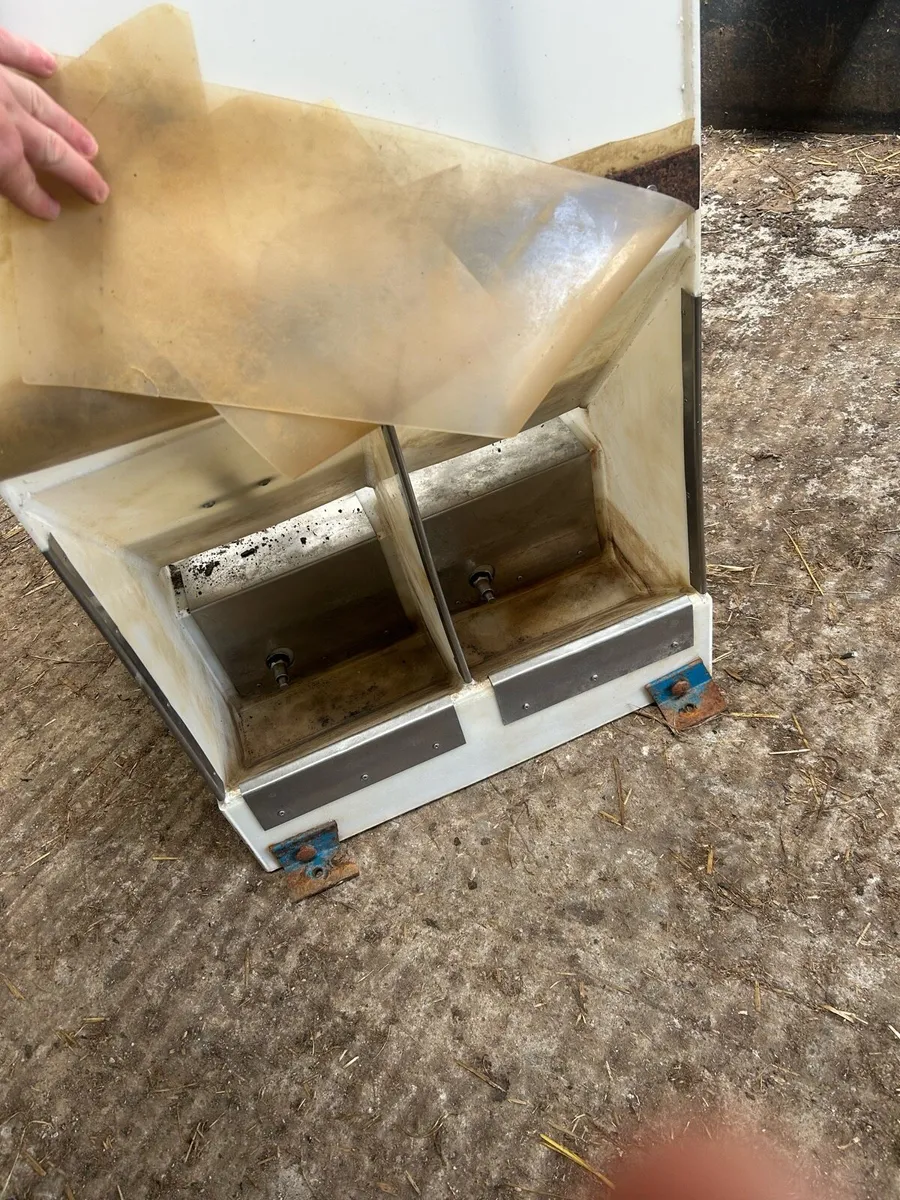Pig feeders - Image 3