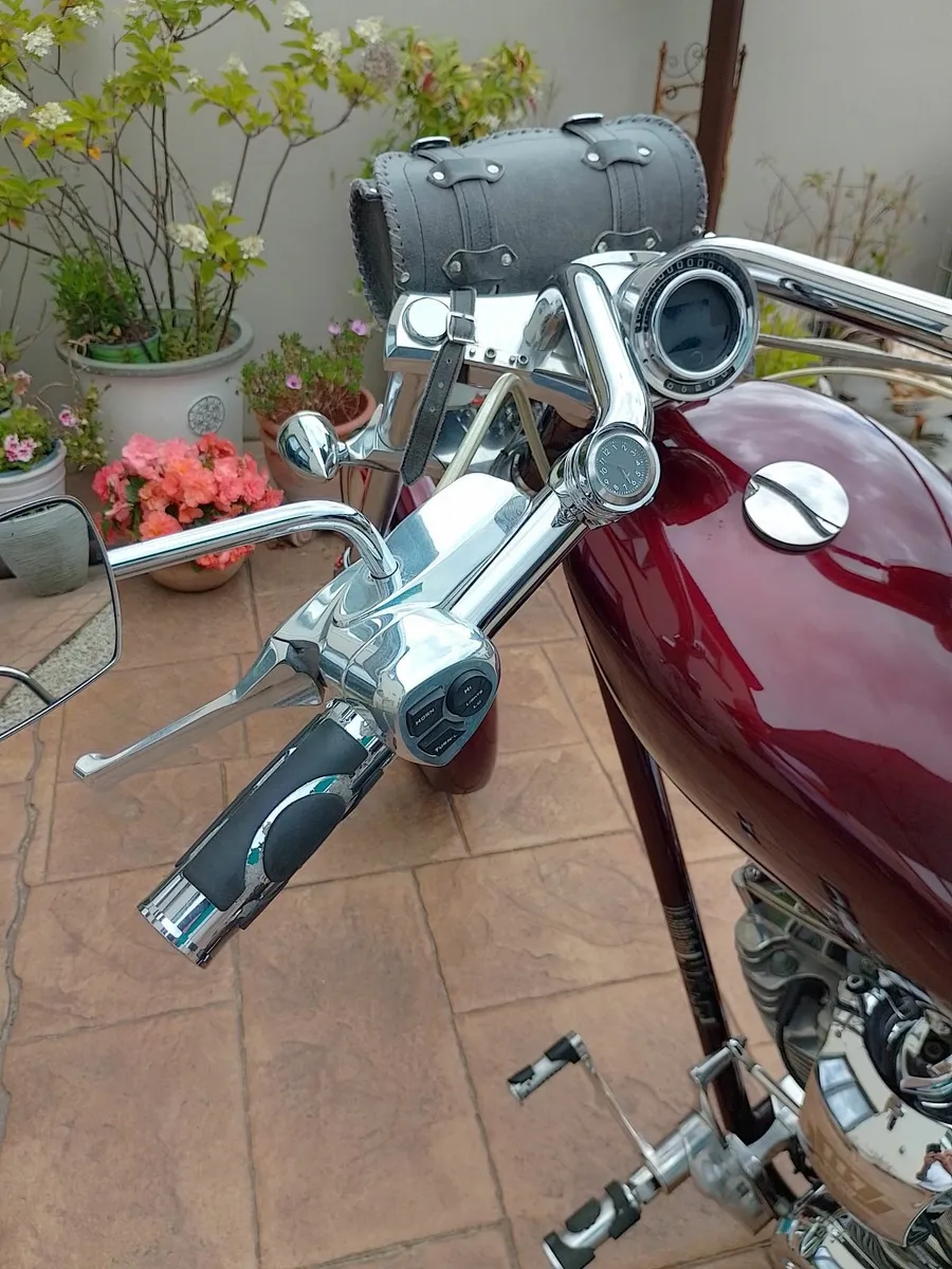 BIGDOG Ridgeback - Image 3