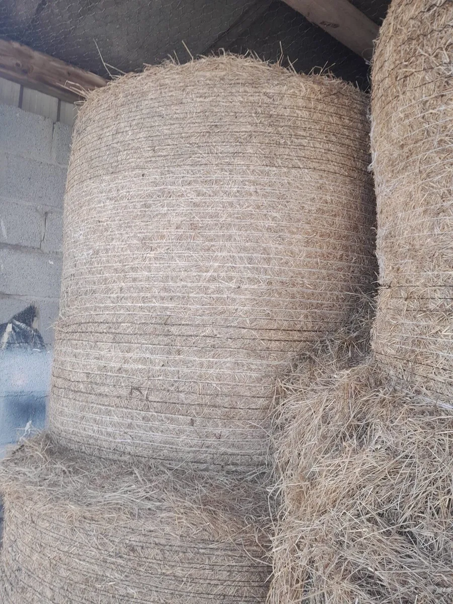Bales of hay - Image 2