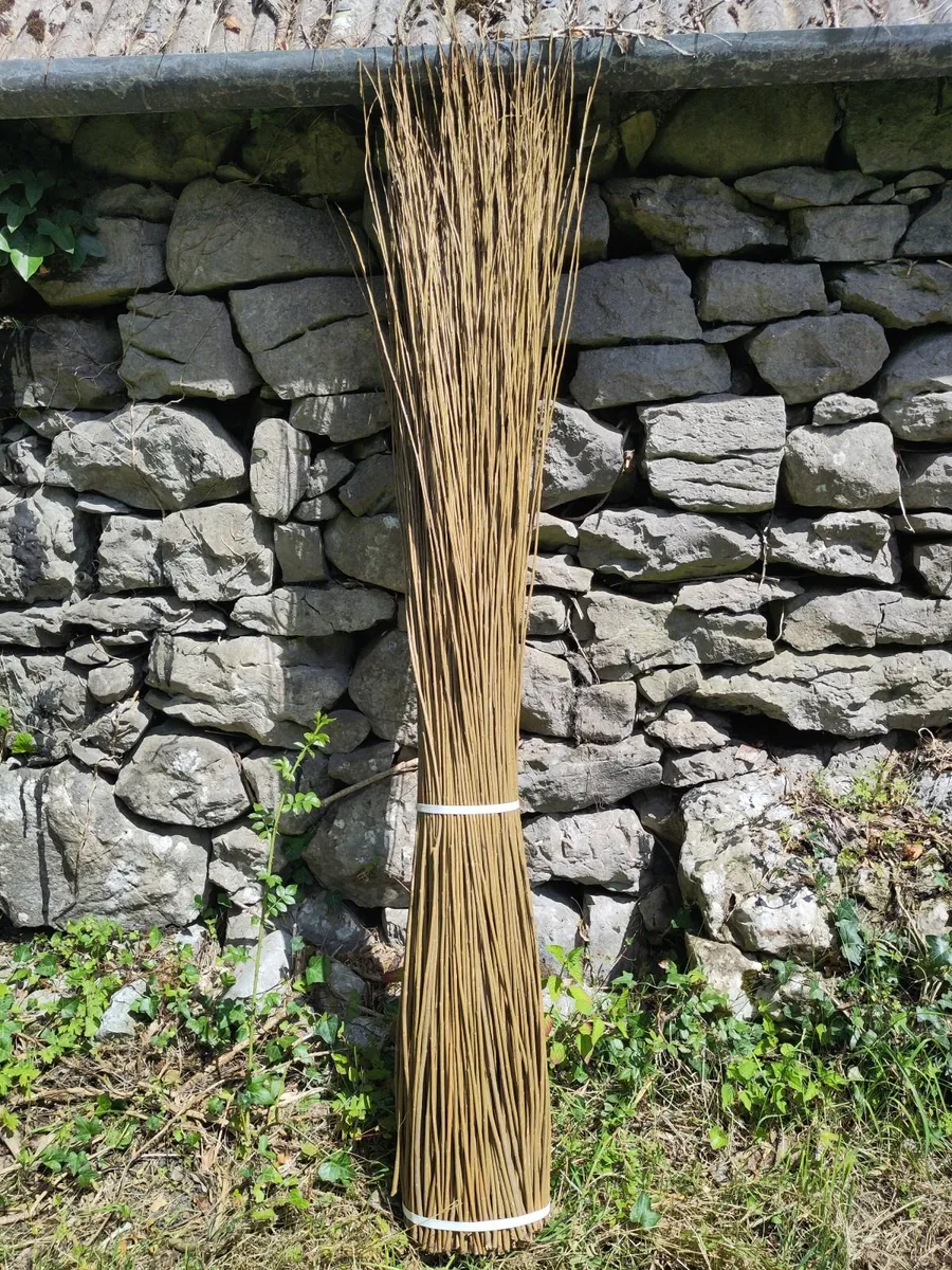 Dried basketry willow for sale - Image 3