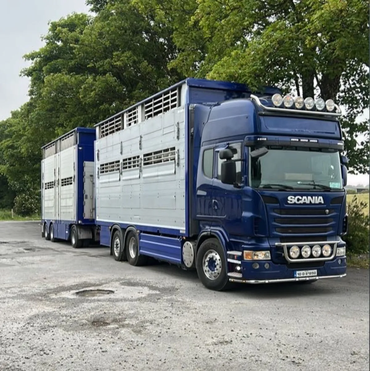 🐮 LIVESTOCK HAULAGE 🐮 - Image 1
