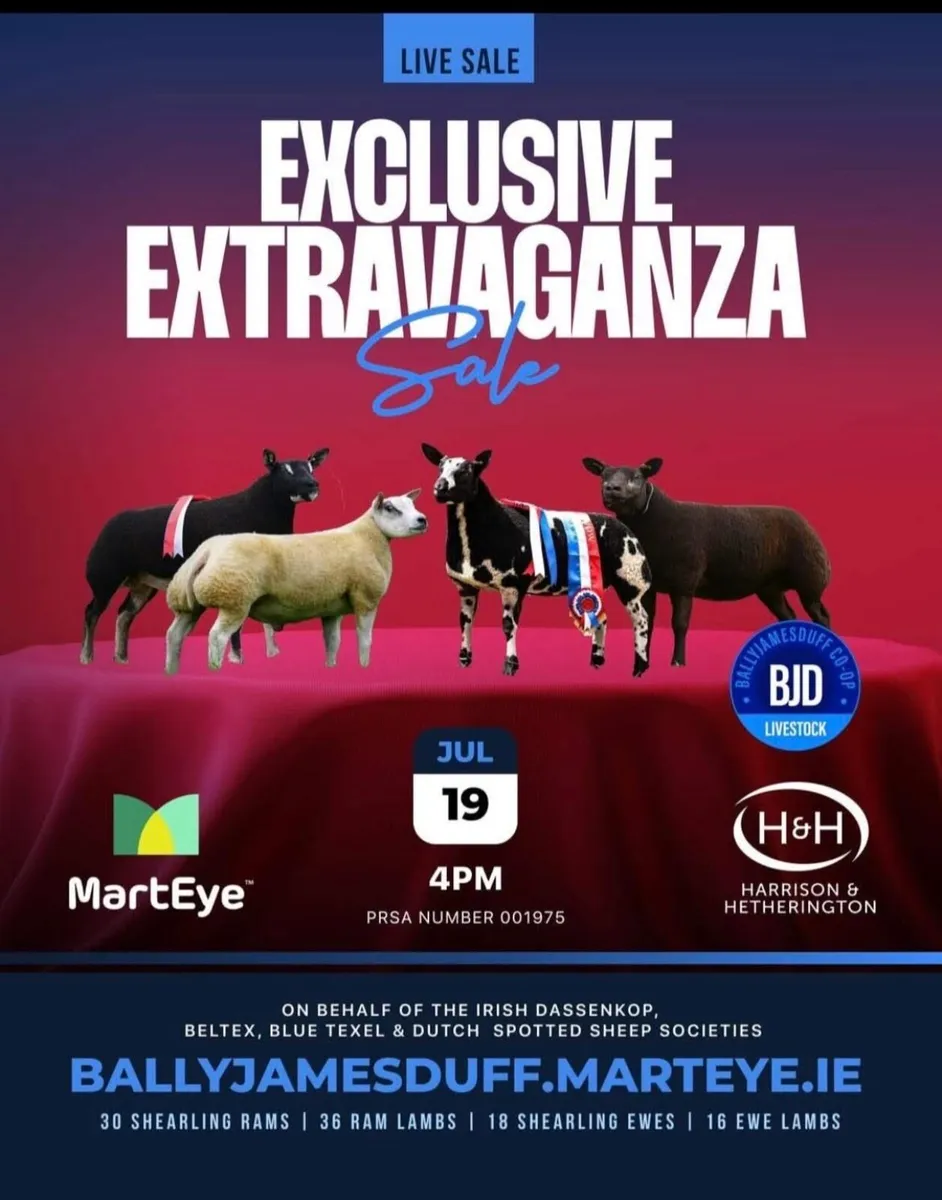 BELTEX EXCLUSIVE EXTRAVAGANZA SALE - Image 1