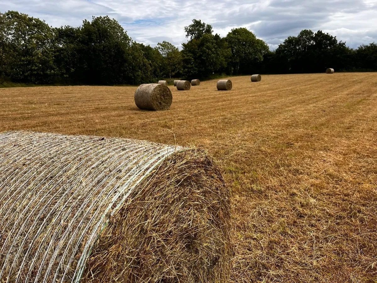 Haylage Bales - Image 1