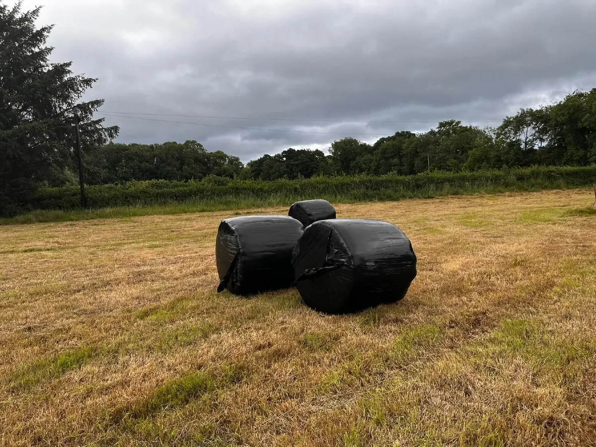 Haylage Bales - Image 2